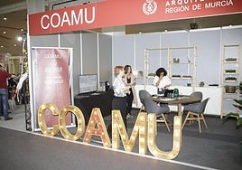 Visitantes en el XX Salón del Vehículo de Ocasión.