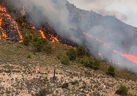 Incendio originado en Ricote.