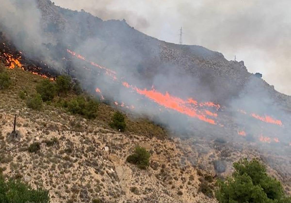 Incendio originado en Ricote.