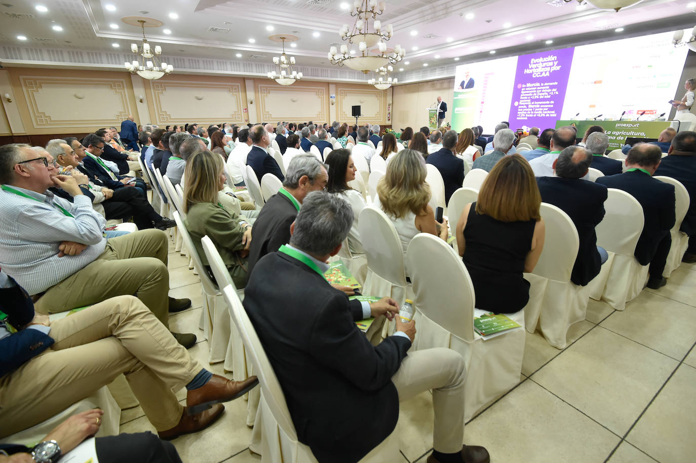 Asamblea General de Proexport 2024, en imágenes