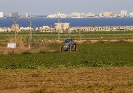 Imagen de archivo de una plantación agrícola en el Campo de Cartagena, con el Mar Menor al fondo.