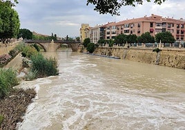 La espuma se acumula en los matorrales de la ribera del río.