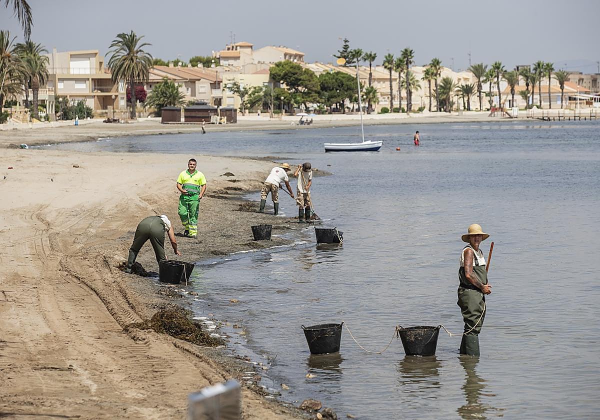 Retirada de biomasa en Los Urrutias en una imagen de archivo.