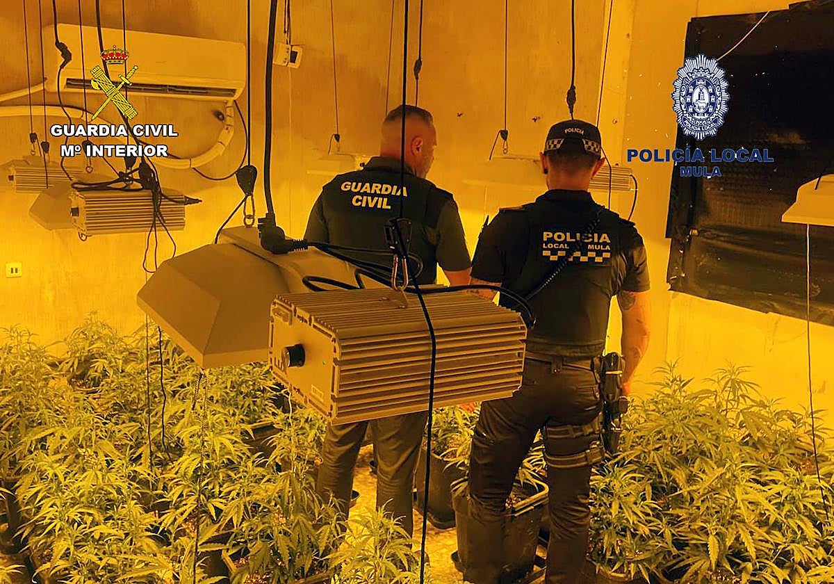 Agentes de la Guardia Civil y la Policía Local de Mula en la operación 'Mizas 3'.