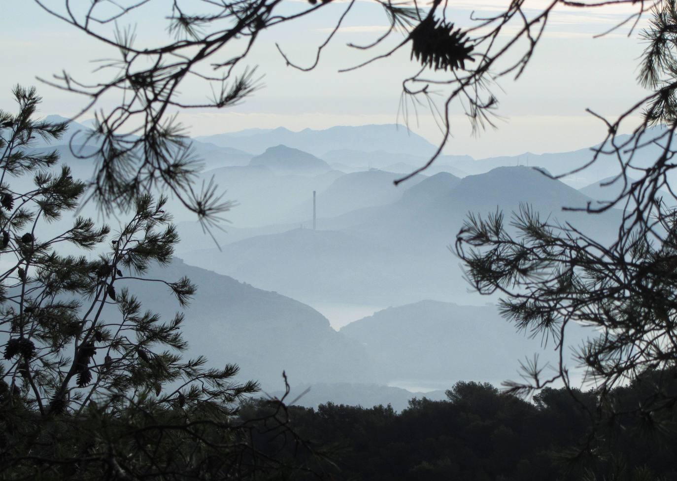 Espacio Natural de la Sierra de la Muela, Cabo Tiñoso y Roldán (Cartagena).