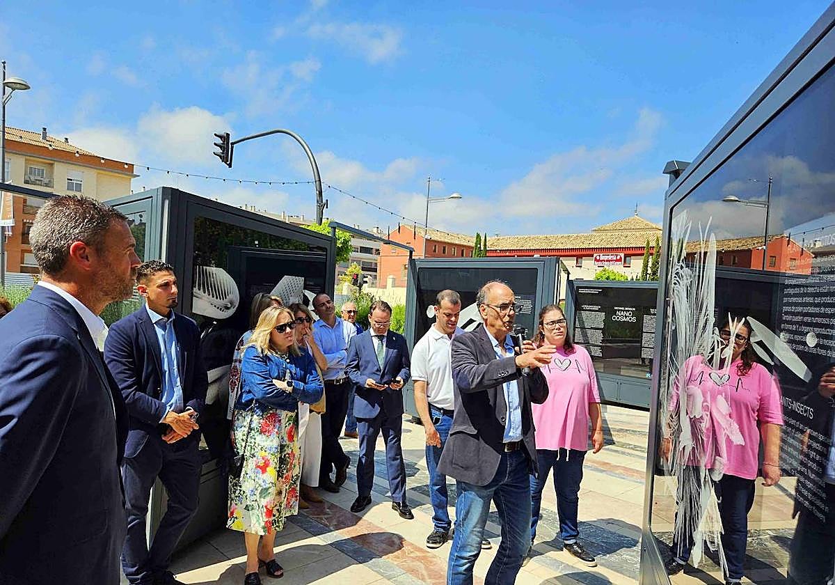 Esta muestra al aire libre permite admirar la belleza y complejidad de la fauna y la flora invisible al ojo humano.