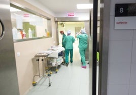 Profesionales en el Hospital Reina Sofía.