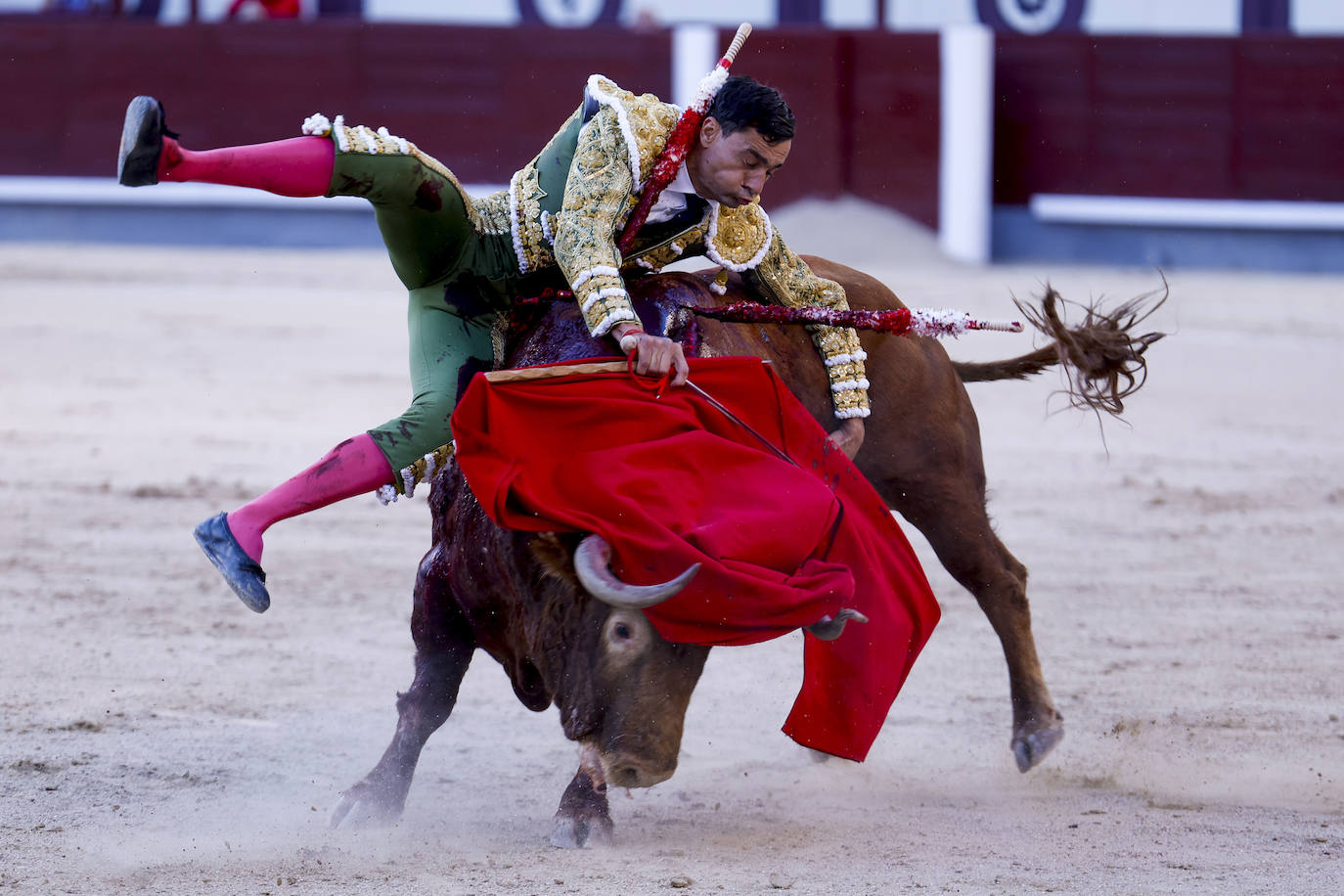 Las imágenes de la faena de Ureña en Madrid