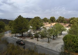 Estado actual del área recreativa del parque forestal del Majal Blanco, en la que se intervendrá en los próximos meses gracias a los fondos 'Next Generation'.