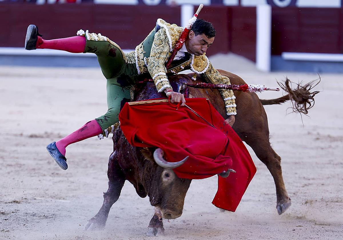 Paco Ureña sufre una cogida en Las Ventas, este domingo.