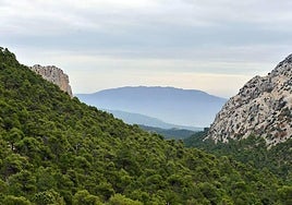 Paisaje de Sierra Espuña en una imagen de archivo.