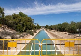 Canal del Postrasvase de la margen izquierda a su paso por la Vega Baja de Alicante.