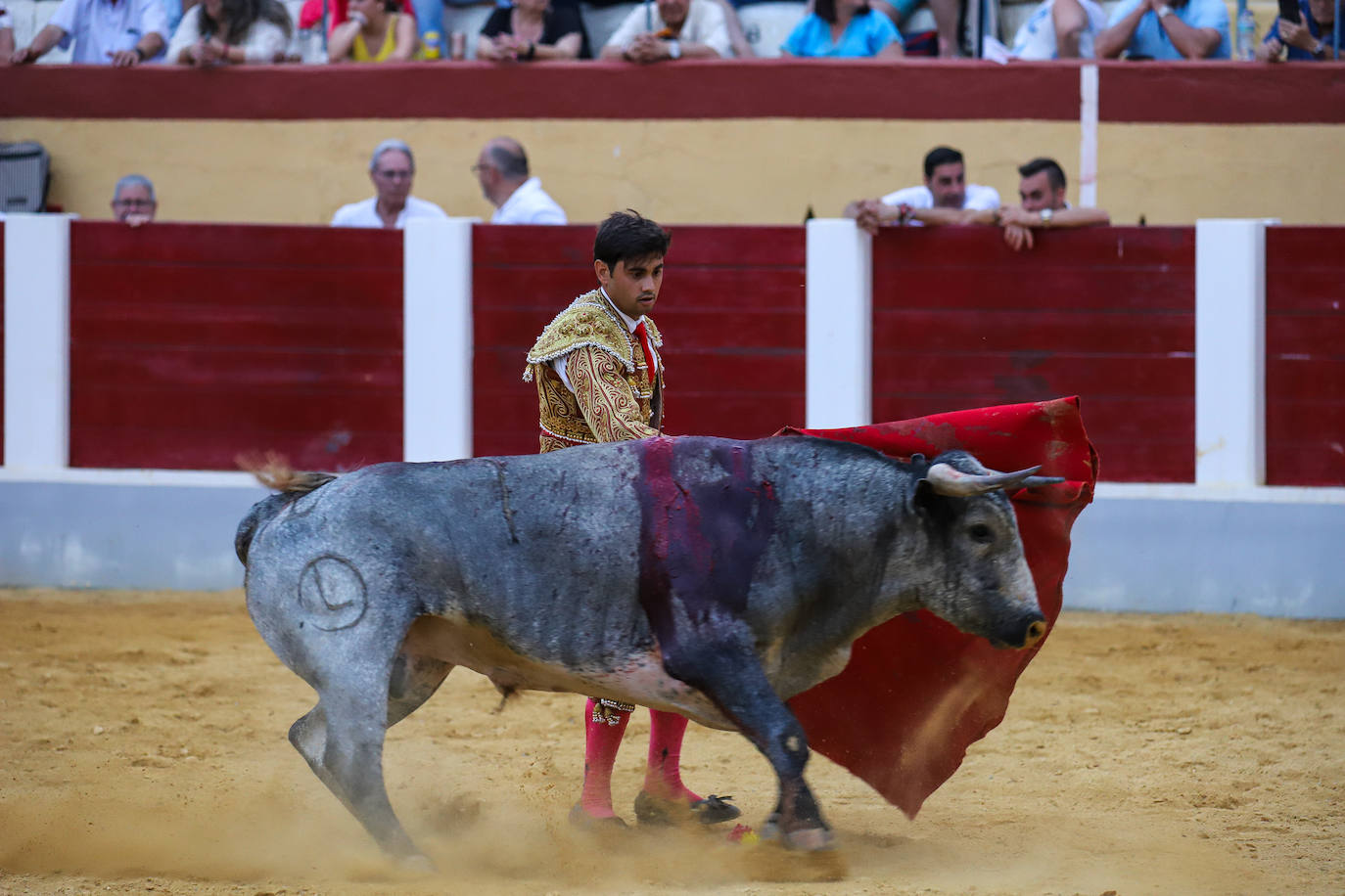 Imágenes de la Gran novillada en Cehegín