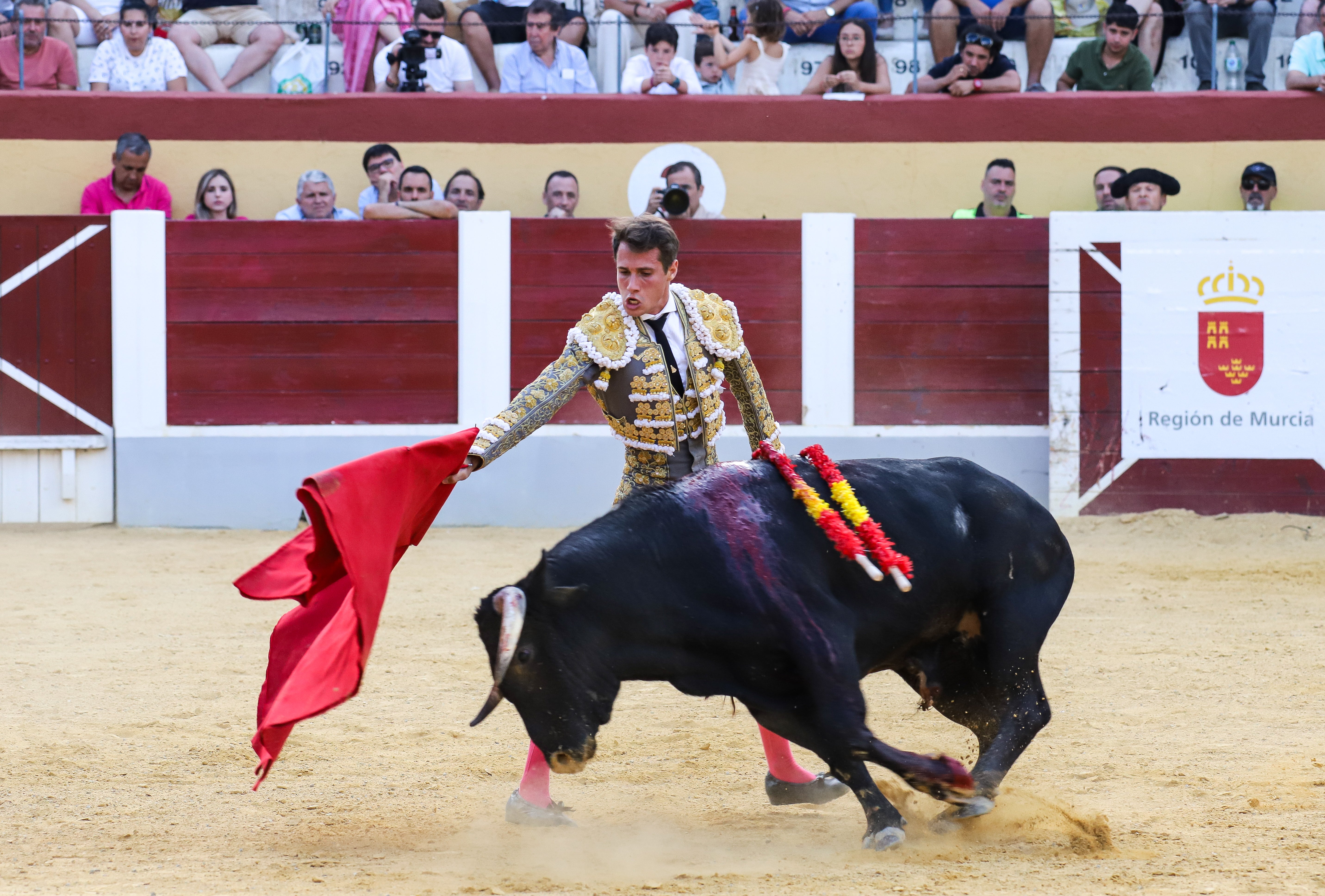 Imágenes de la Gran novillada en Cehegín