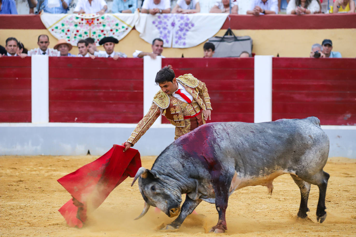Imágenes de la Gran novillada en Cehegín