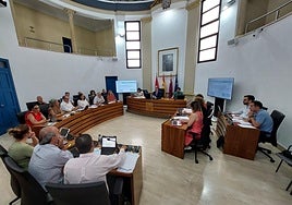 Un momento de la celebración del Pleno, ayer, en el Ayuntamiento de Alcantarilla.