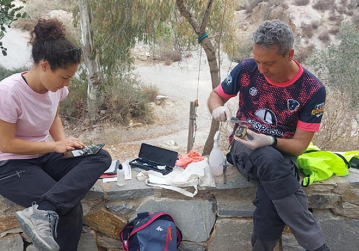 Técnicos de la Universidad Miguel Hernández, durante el último muestreo de tortugas en las Cumbres de la Galera (Lorca).