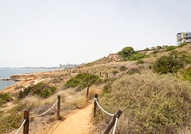 Sendero de la microrreserva de la punta de La Glea, en Orihuela Costa.