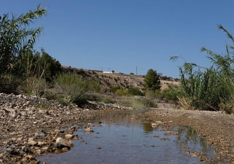 Curso de agua en el río Luchena, en la pedanía de La Parroquia, en una imagen de este jueves.