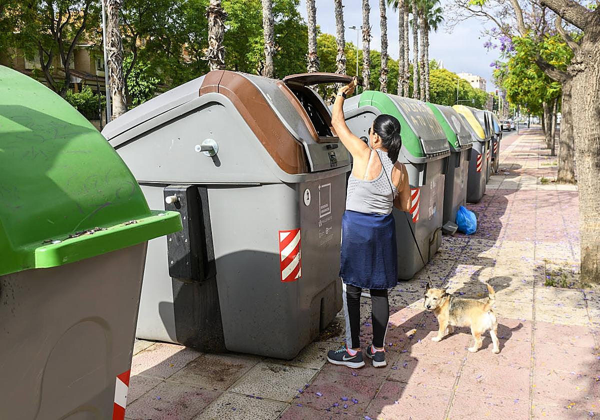 Contenedores marrones instalados por el Ayuntamiento, como iniciativa piloto, en la avenida Almirante Loaysa, en 2022.