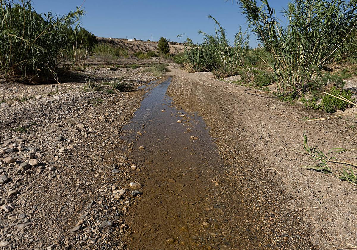 Curso del río Luchena en Lorca.