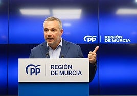 El vicesecretario del PP, Joaquín Segado.