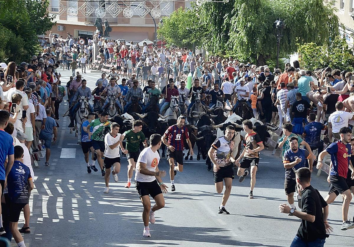 Encierros en Moratalla.