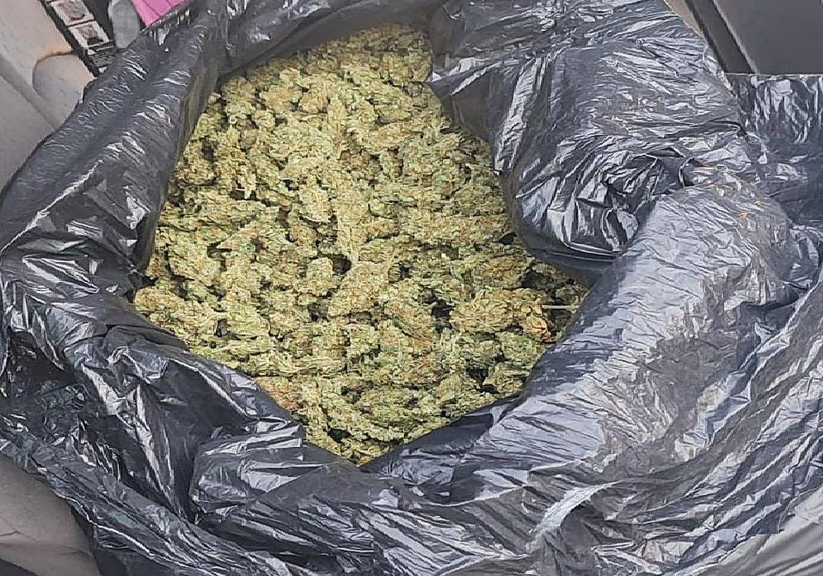 La marihuana incautada por la Policía Nacional.