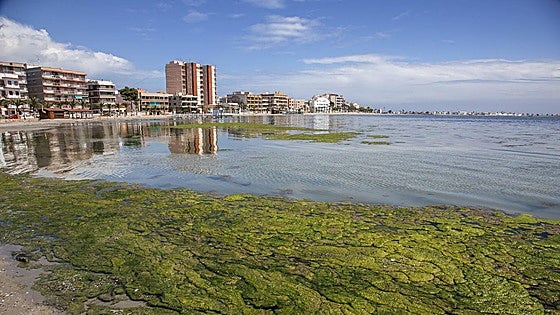 Ciudades inhóspitas, aguas contaminadas y lobos en la diana