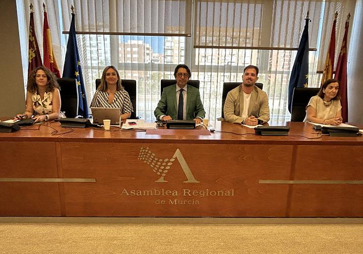 Comparecencia de la consejera de Política Social, Familias e Igualdad, Conchita Ruiz Caballero, ante la Comisión Especial de Estudio sobre Infancia y Adolescencia.