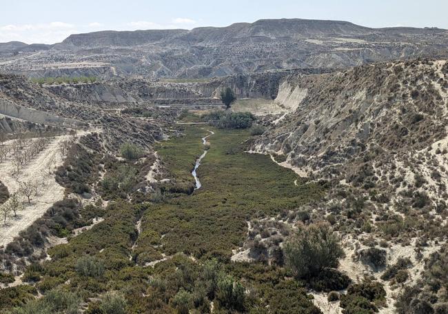 A la altura de Albudeite se encuentra una zona de 'badlands' bendecida con algo de caudal de agua y, por tanto, con una mayor presencia de vegetación.