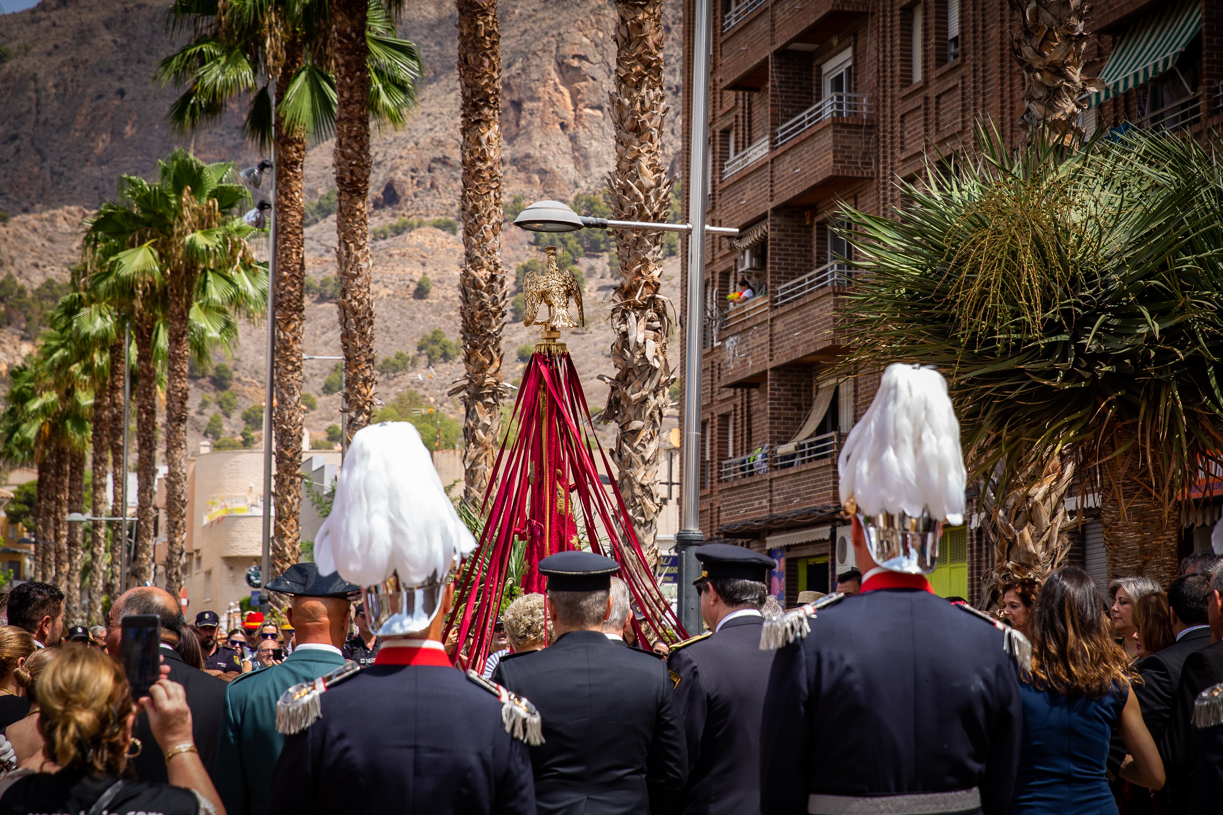 Las imágenes del Día del Pájaro en Orihuela