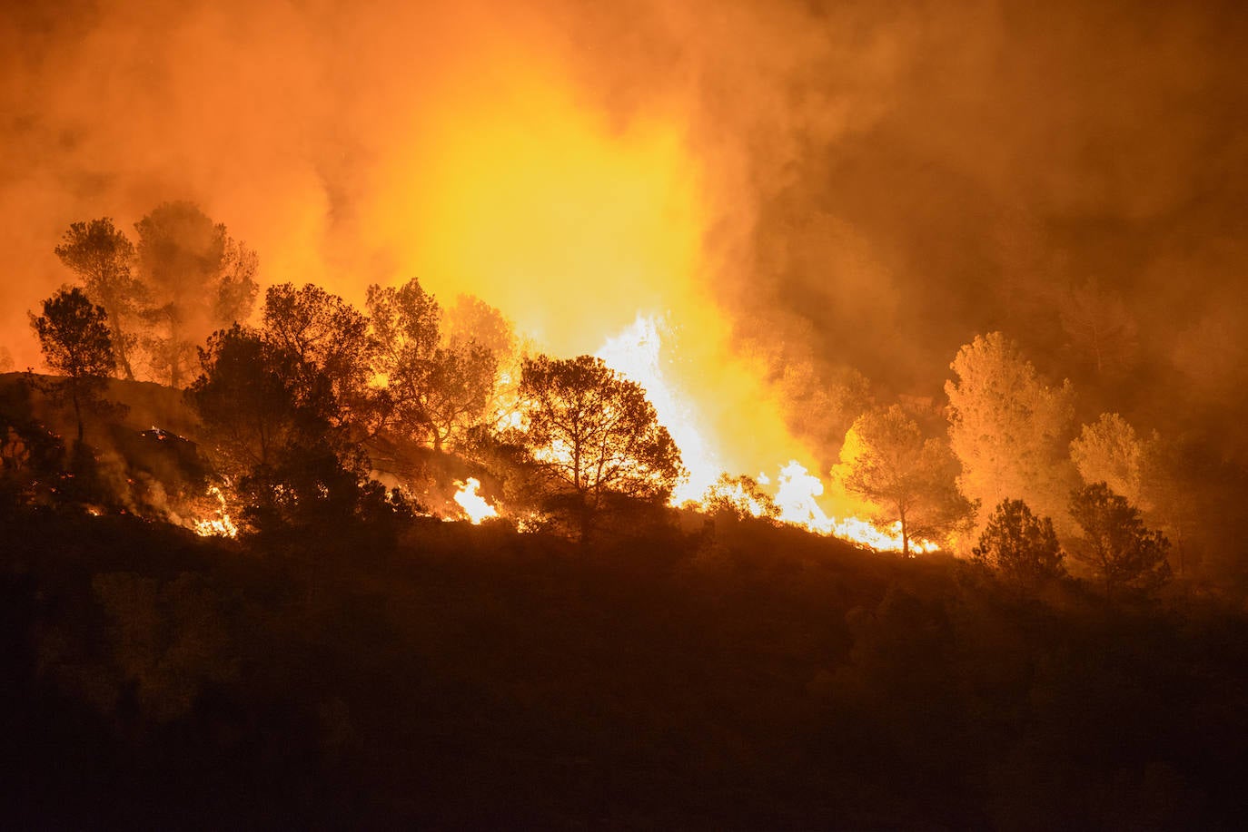 Un incendio en la sierra de Altaona alarma a los vecinos de Murcia