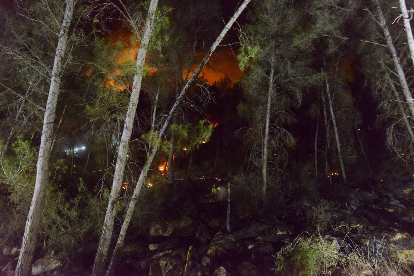 Un incendio en la sierra de Altaona alarma a los vecinos de Murcia