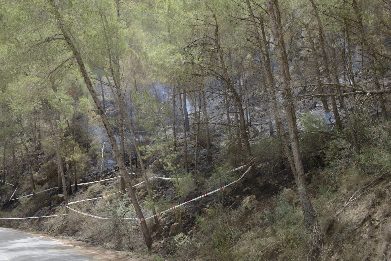 Un incendio en la sierra de Altaona alarma a los vecinos de Murcia