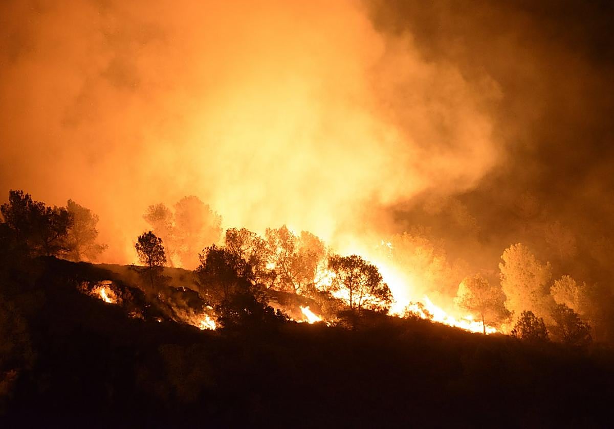 El fuego, que comenzó sobre las 23 horas del miércoles, arrasó siete hectáreas en la sierra de Altaona.