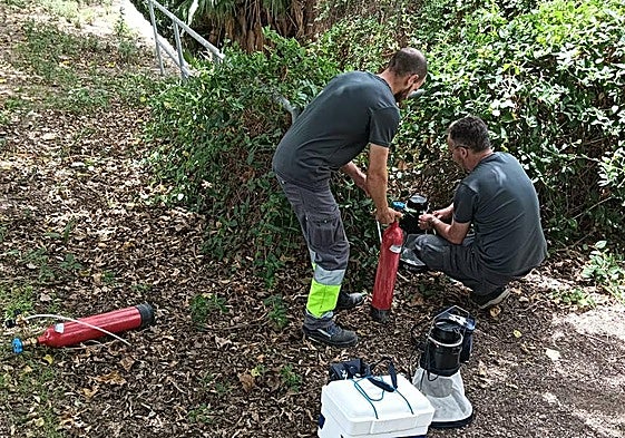Científicos recogen ejemplares para su estudio.