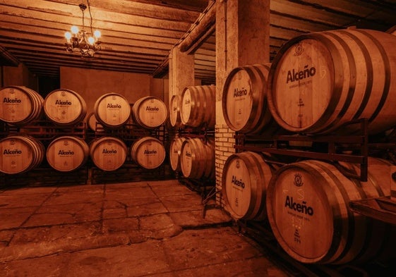 Sala de barricas de Bodegas Alceño.