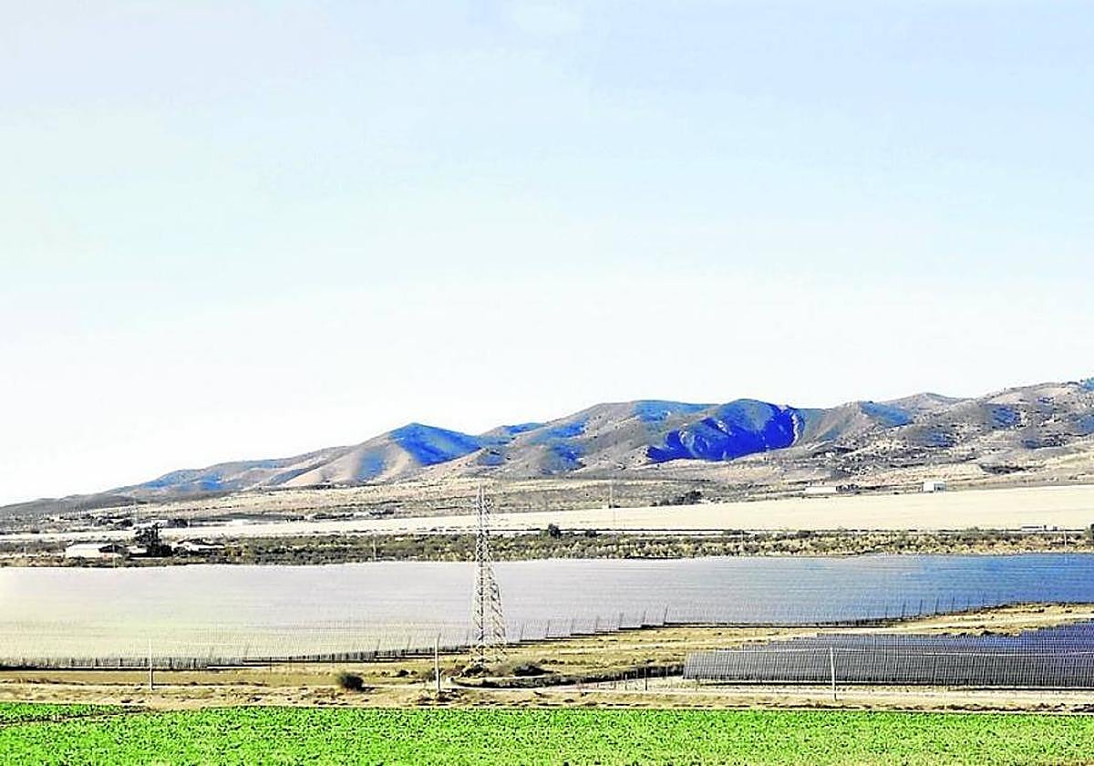 Vista aérea del parque fotovoltaico de Carril Solar.