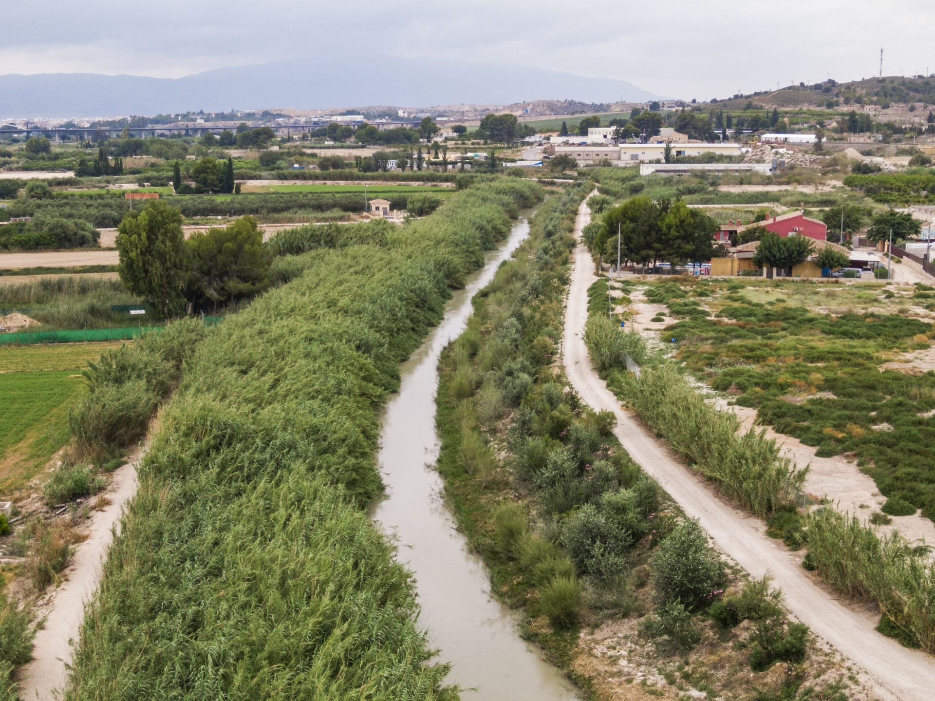 Recuperación de árboles y arbustos de ribera a lo largo del río Segura, en imágenes