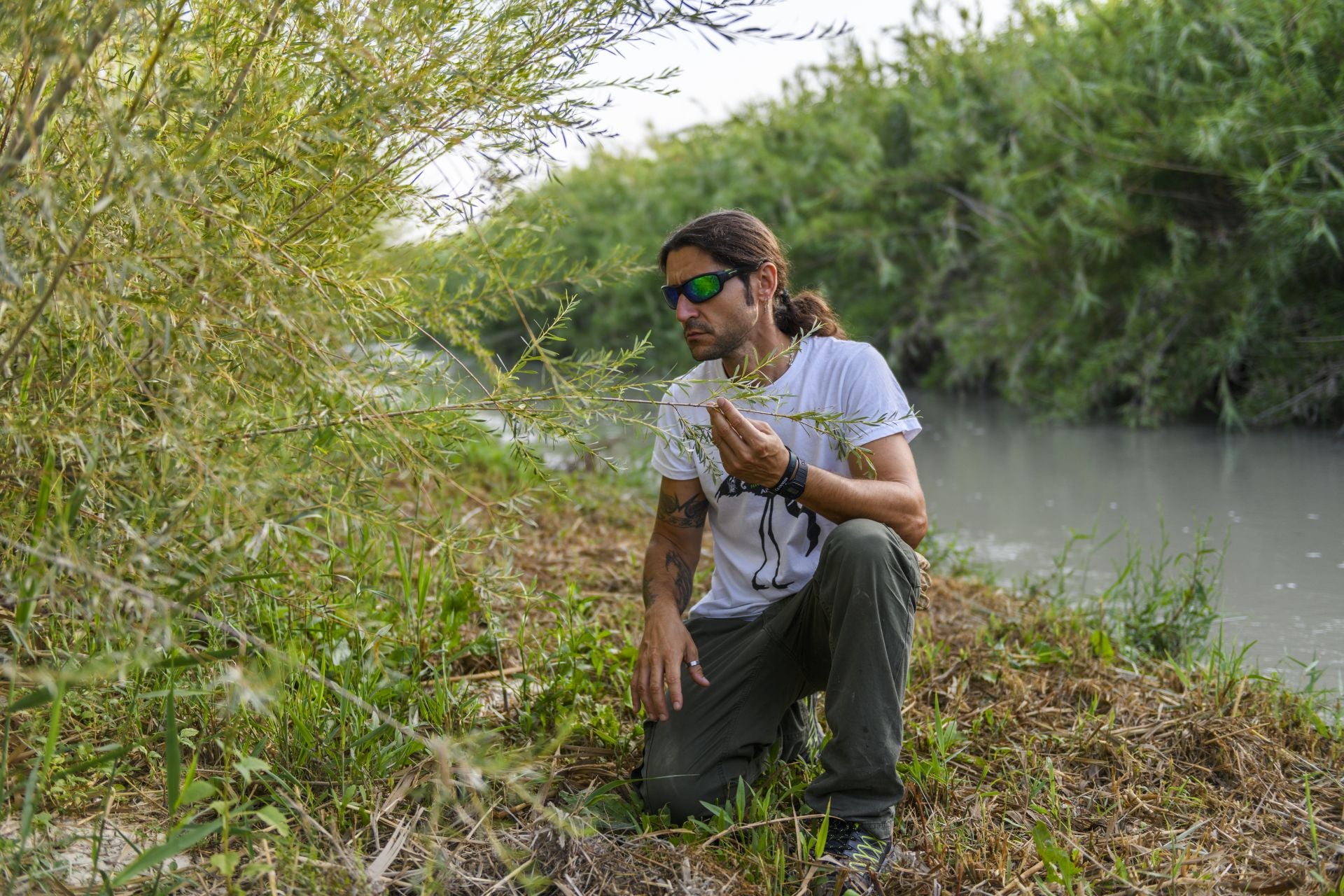 Recuperación de árboles y arbustos de ribera a lo largo del río Segura, en imágenes