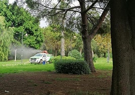 Un vehículo del servicio pulveriza un larvicida para atajar la proliferación de mosquitos en un parque de Torrevieja.