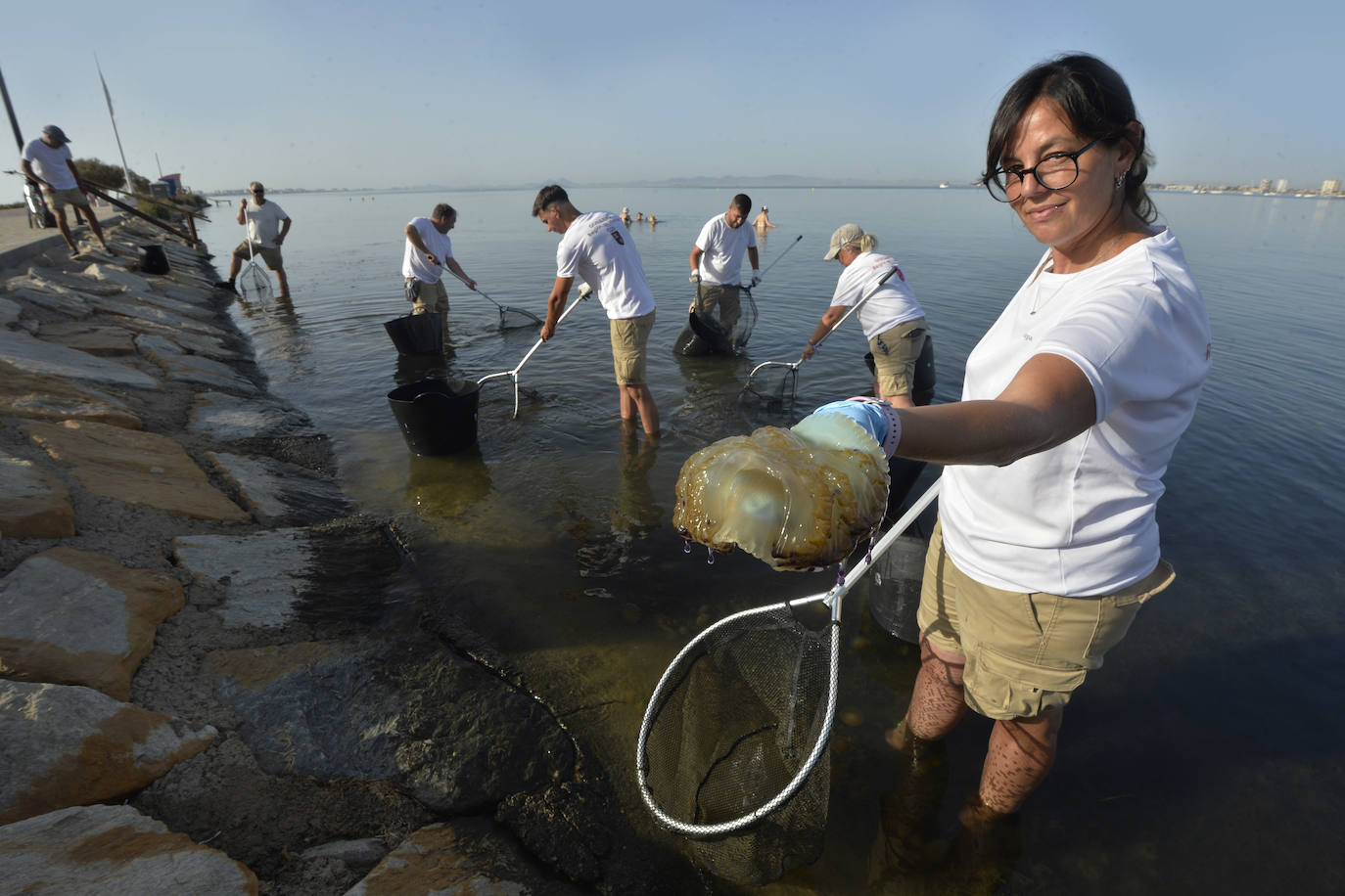 Las redes antimedusas colocadas en el Mar Menor, en imágenes