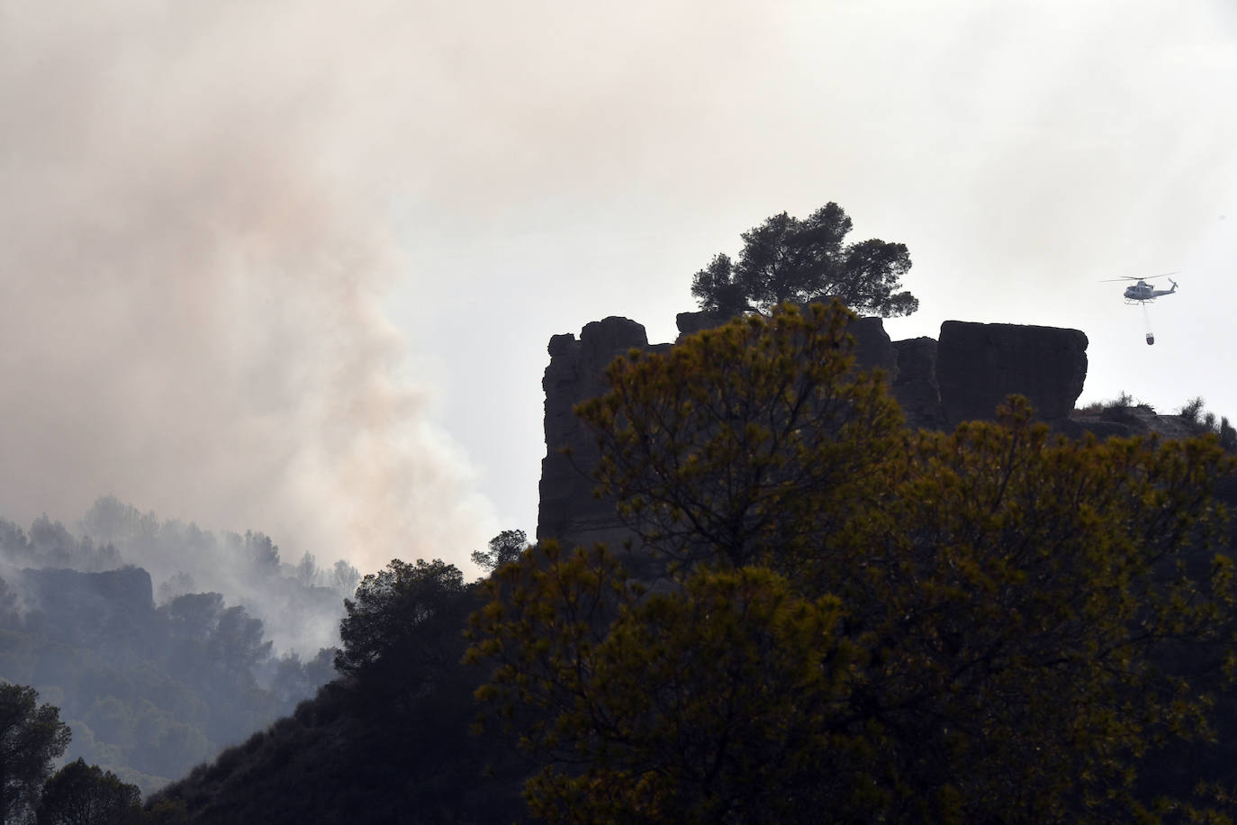 Un incendio en El Valle devora varias hectáreas de monte