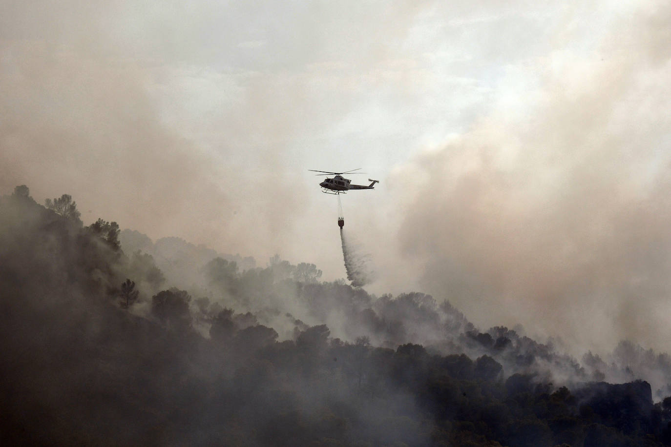 Un incendio en El Valle devora varias hectáreas de monte
