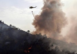 Un incendio en El Valle devora varias hectáreas de monte