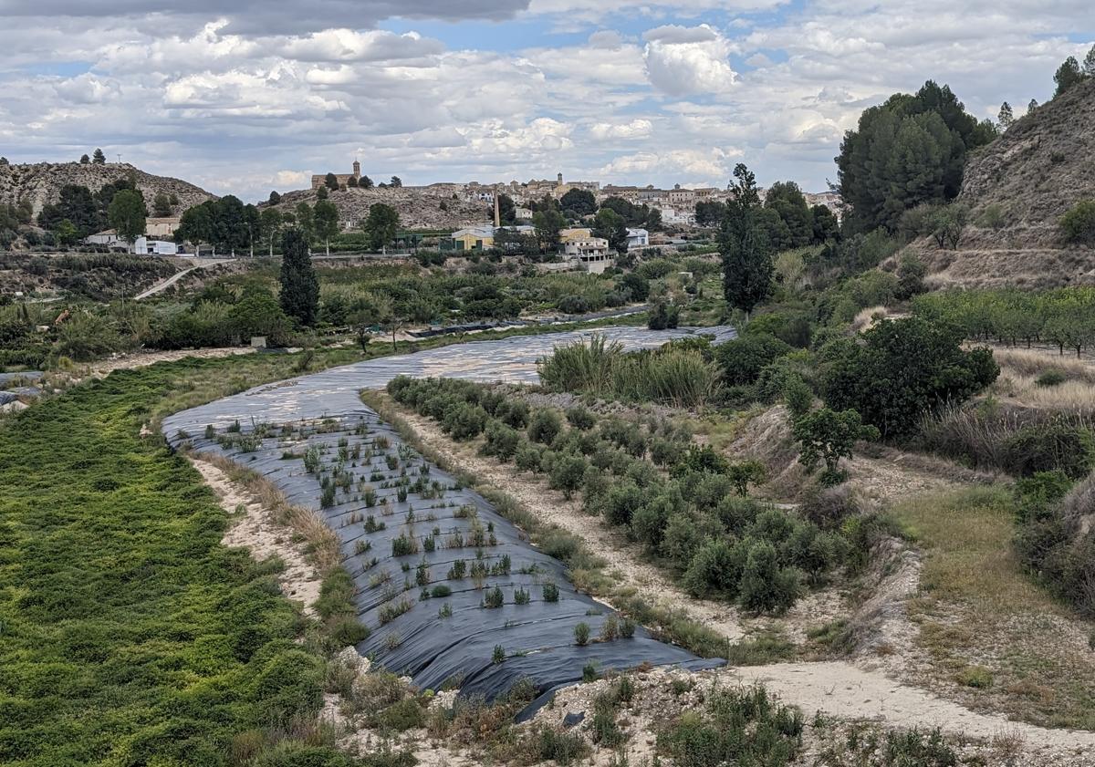 Imagen principal - Arriba: Panorámica de una zona de cultivos, con Cehegín al fondo. Abajo: Antiguo apeadero ferroviario rehabilitado como cafetería y zona de descanso, también en Cehegín.