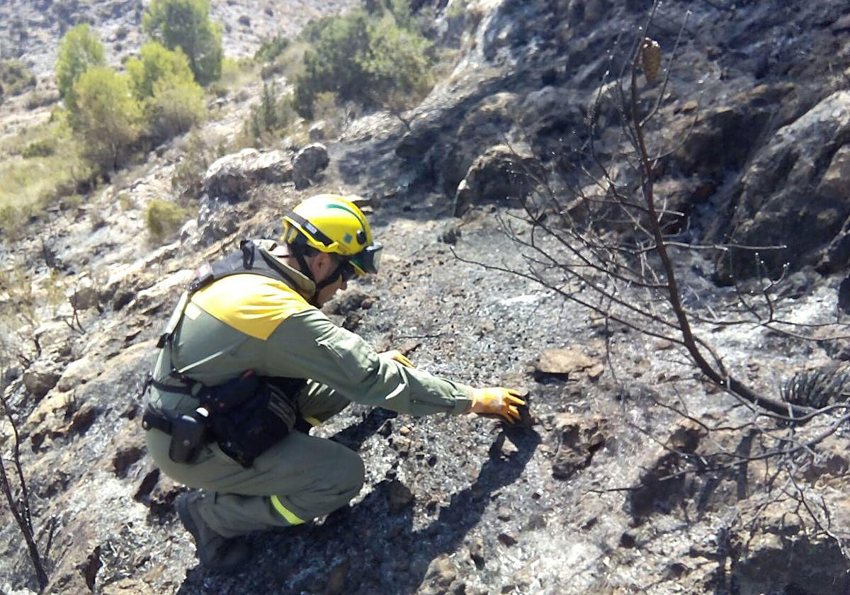 Un efectivo de emergencias examina los rescoldos tras el incendio.