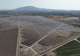 Parque solar de la filial de renovables de Endesa en Totana.