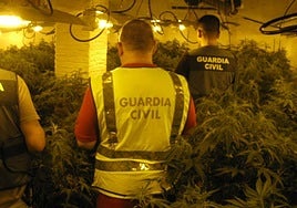 Efectivos de la Guardia Civil durante la operación.